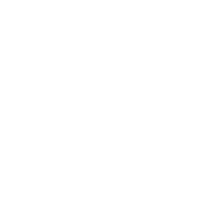 persona inc icon